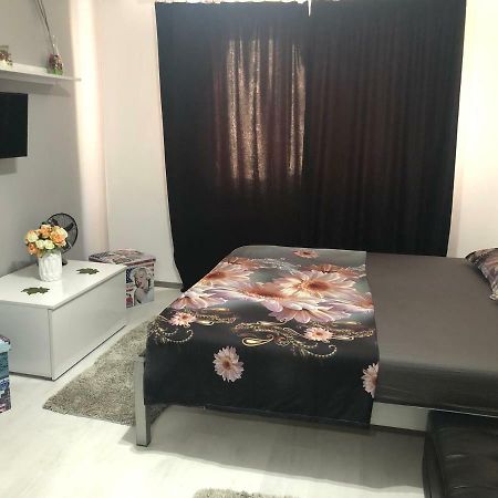 Garsoniera Aleea Trandafirilor Apartamento Băile Herculane Exterior foto