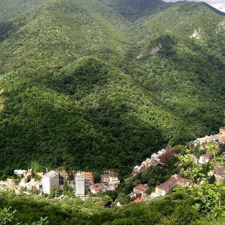 Garsoniera Aleea Trandafirilor Apartamento Băile Herculane Exterior foto