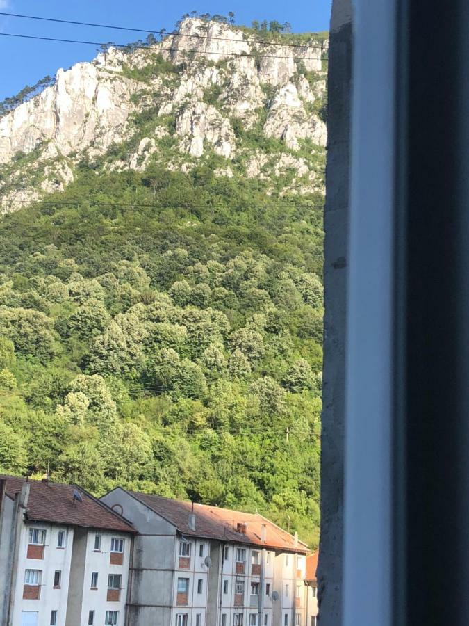 Garsoniera Aleea Trandafirilor Apartamento Băile Herculane Exterior foto