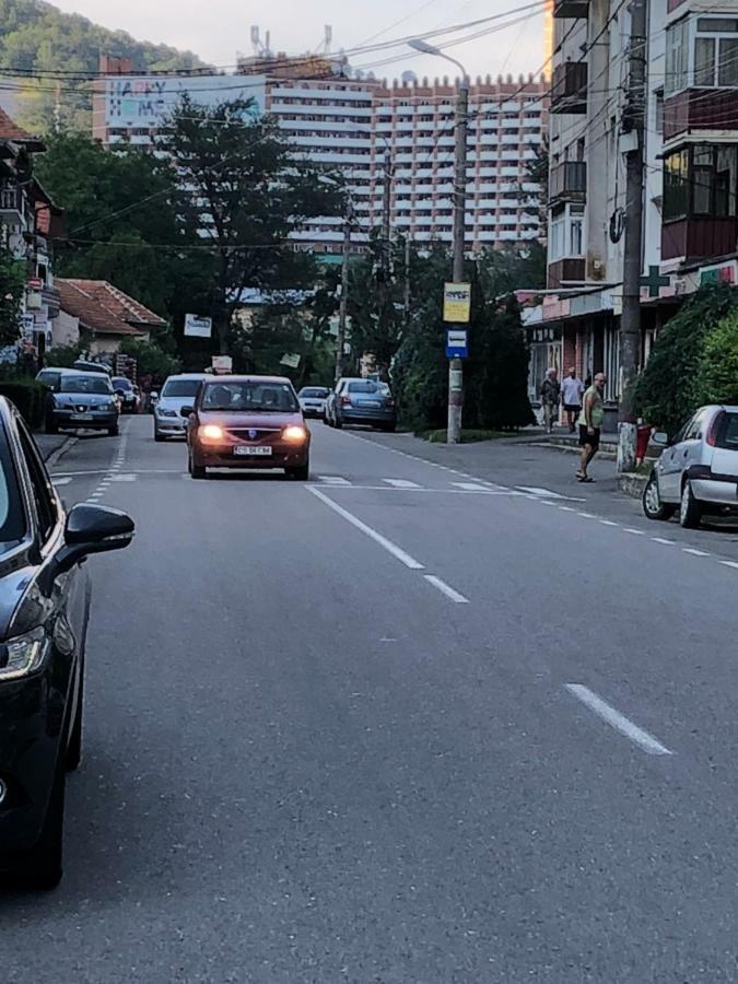 Garsoniera Aleea Trandafirilor Apartamento Băile Herculane Exterior foto