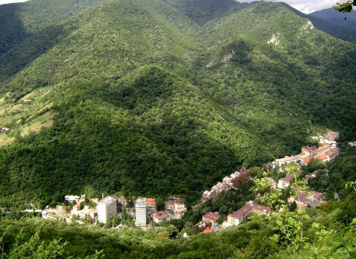 Garsoniera Aleea Trandafirilor Apartamento Băile Herculane Exterior foto