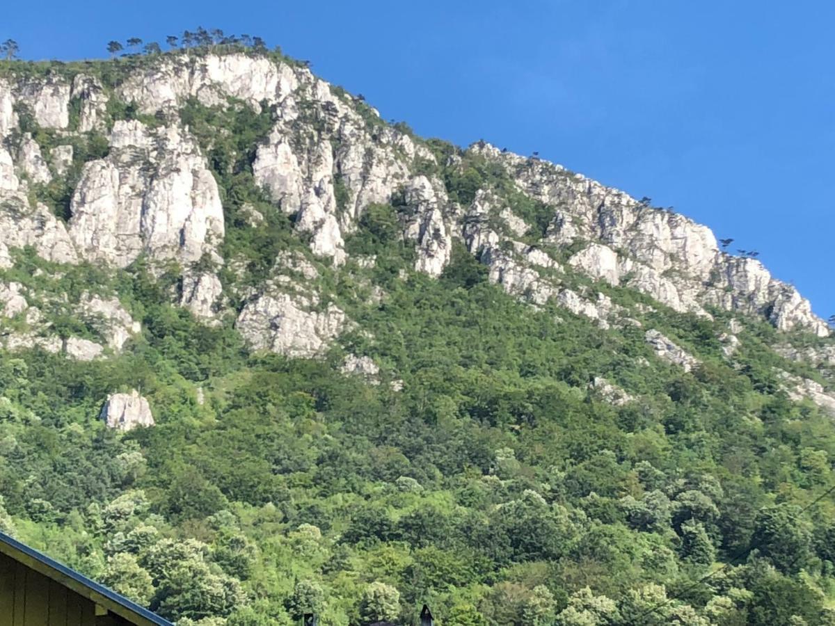 Garsoniera Aleea Trandafirilor Apartamento Băile Herculane Exterior foto